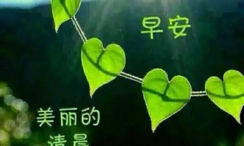 大红鹰是啥-权威大红鹰药业是正规厂家吗平台,分享专业大红鹰药被暂停的原因知识_大红鹰药用网